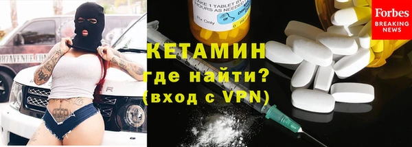 крисы Ельня