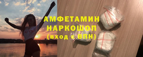 крисы Ельня