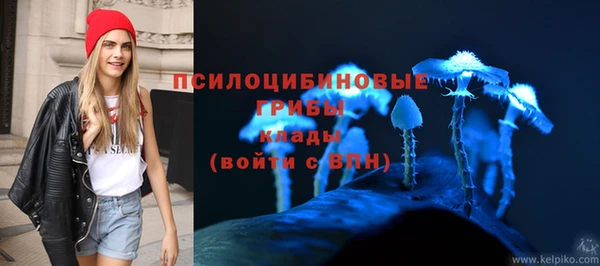 крисы Елабуга