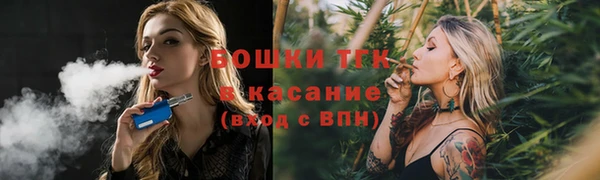 крисы Елабуга