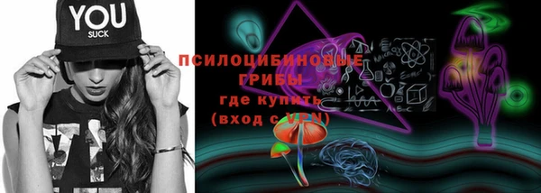 крисы Елабуга