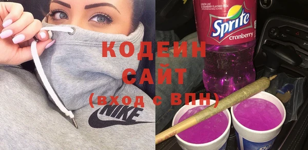 крисы Елабуга