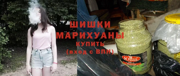 крисы Ельня
