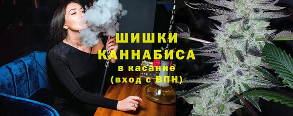 крисы Ельня