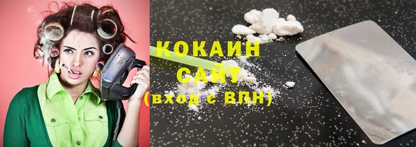 крисы Елабуга