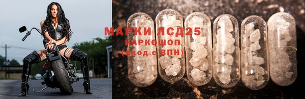 ГАЛЛЮЦИНОГЕННЫЕ ГРИБЫ Осташков