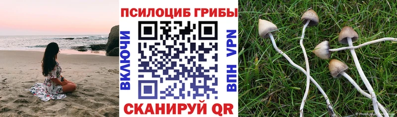магазин продажи наркотиков  KRAKEN ССЫЛКА  Псилоцибиновые грибы MAGIC MUSHROOMS  Нижнеудинск 